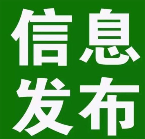 如何高效发布租房信息 从准备到推广的完整指南